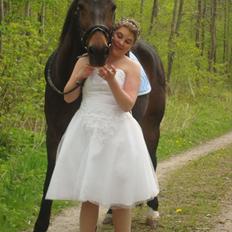 Fuldblod (XX) Smokey 