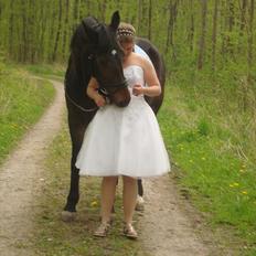 Fuldblod (XX) Smokey 