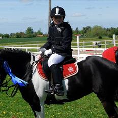 Anden særlig race La Toya