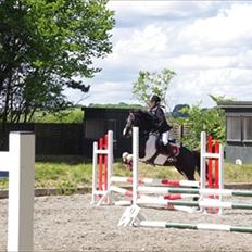 Anden særlig race La Toya