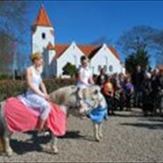 Anden særlig race Hvide<3