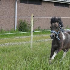 Anden særlig race ~Mister Surprise~ **romkulgen**