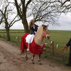 Fjordhest Siri Kaptain (stjernen) (  var min låne Hest)<3
