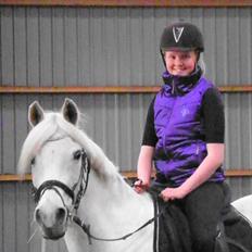 Anden særlig race Wendy * B-pony *