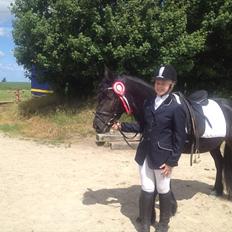 Fell pony Bakkely's Bella *Prinsessen* SOLGT:'(