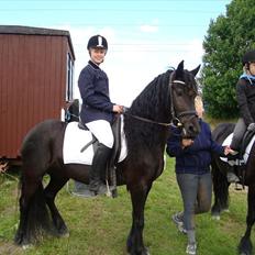 Fell pony Bakkely's Bella *Prinsessen* SOLGT:'(