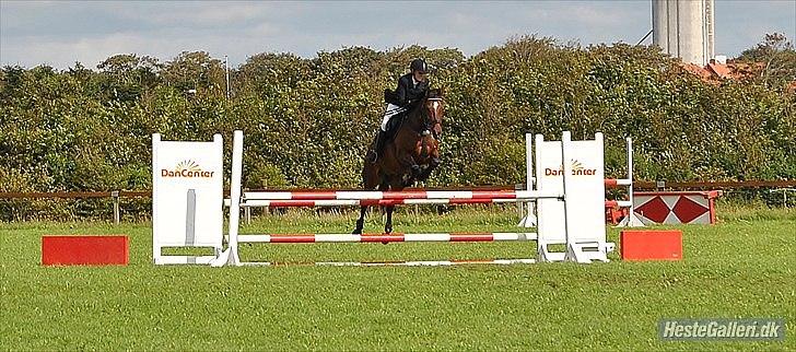 Anden særlig race Søvinds Zimba  billede 14