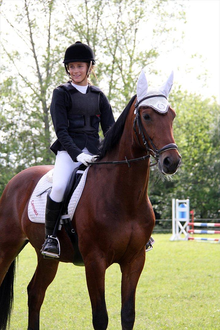 Dansk Varmblod CAMMELOT - Til præmieoverrækkelse, da vi vandt vores LD :-) Stævne på Killerup Rideklub d. 3 juni 2012 billede 5