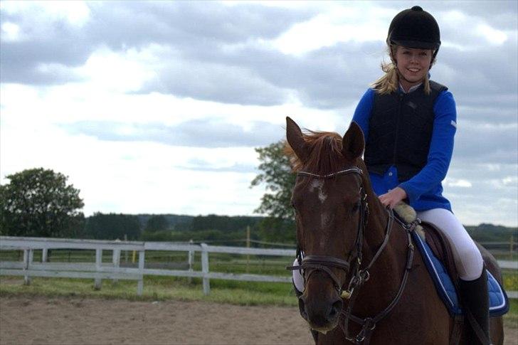 Belgisk varmblod EQUARELLE  - Ralle <3<3 billede 5