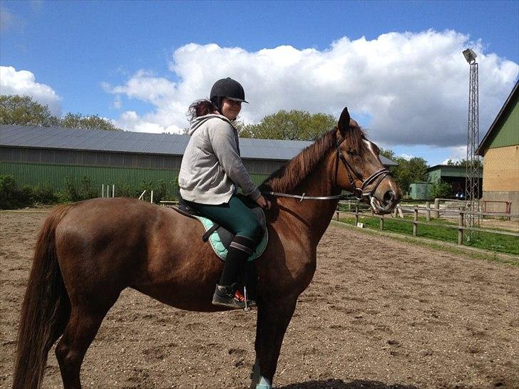 Oldenborg Sonny  <3 Savner min piige! - Taget for ca 3 uger siden med en ny sadel er lige med en ny og dejlig hest at ride på :) billede 1