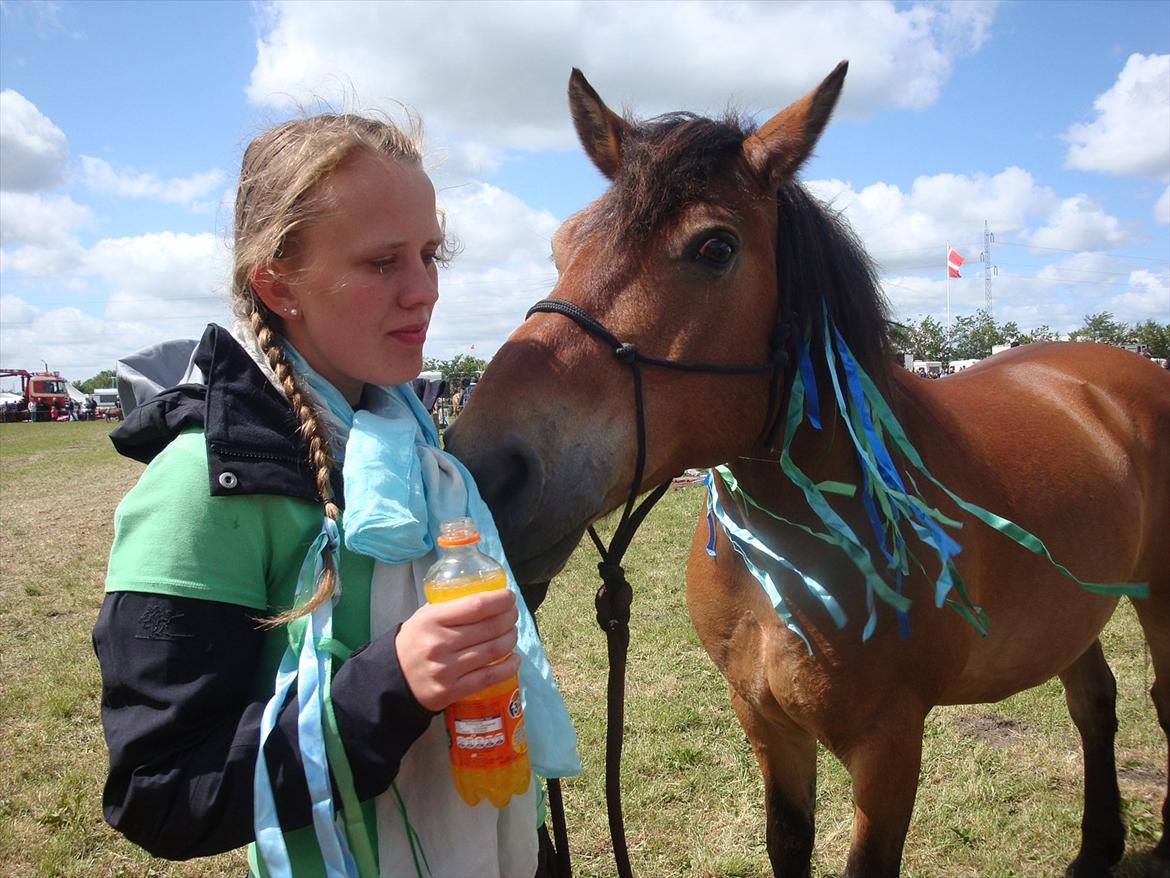 Anden særlig race Sir Gawain of Lisanku - Afslapning efter et meget vellykket show på Hjallerup marked. Så har ponyen og jeg lavet vores første show :D  billede 16