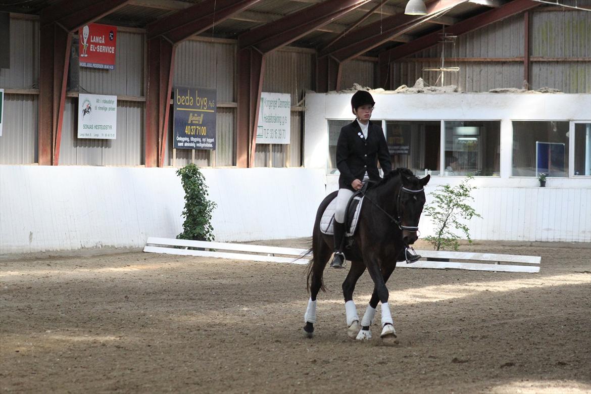 DSP DiNozzo IWE. - Stævne d. 2. juni, i stevenstrup, LD2.
Foto: Mummii. billede 30