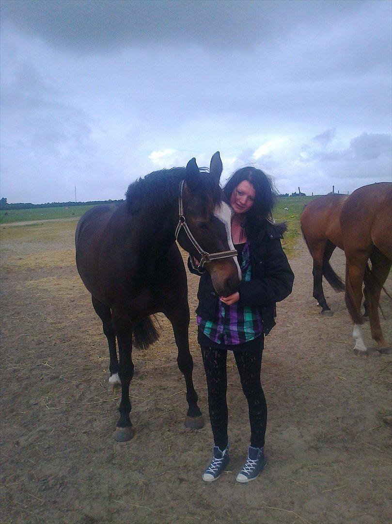 Anden særlig race Houmgaards Shakira<3. billede 20