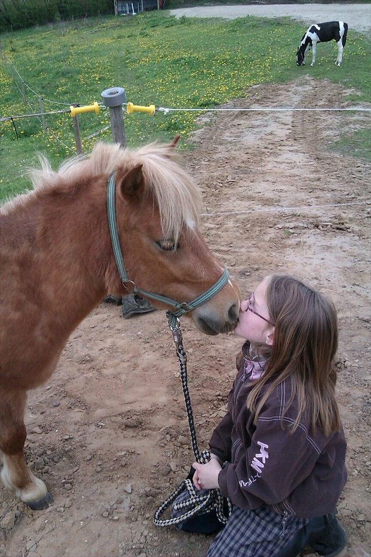 Shetlænder Sam  - Sam og catrine kysser<3 billede 6