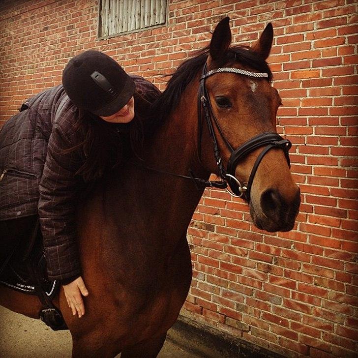 Holstener Cassi billede 19