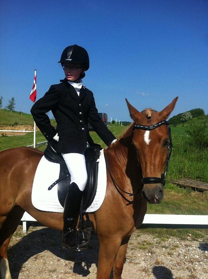 New Forest Kjantes valentijn Isabella <3  billede 13