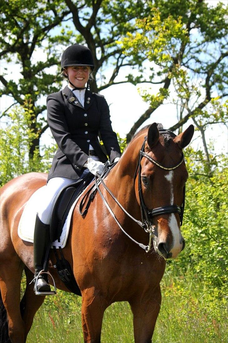 Dansk Varmblod Sandbæk's Wonder-Hitt - A hest - taget af CHS photo billede 11