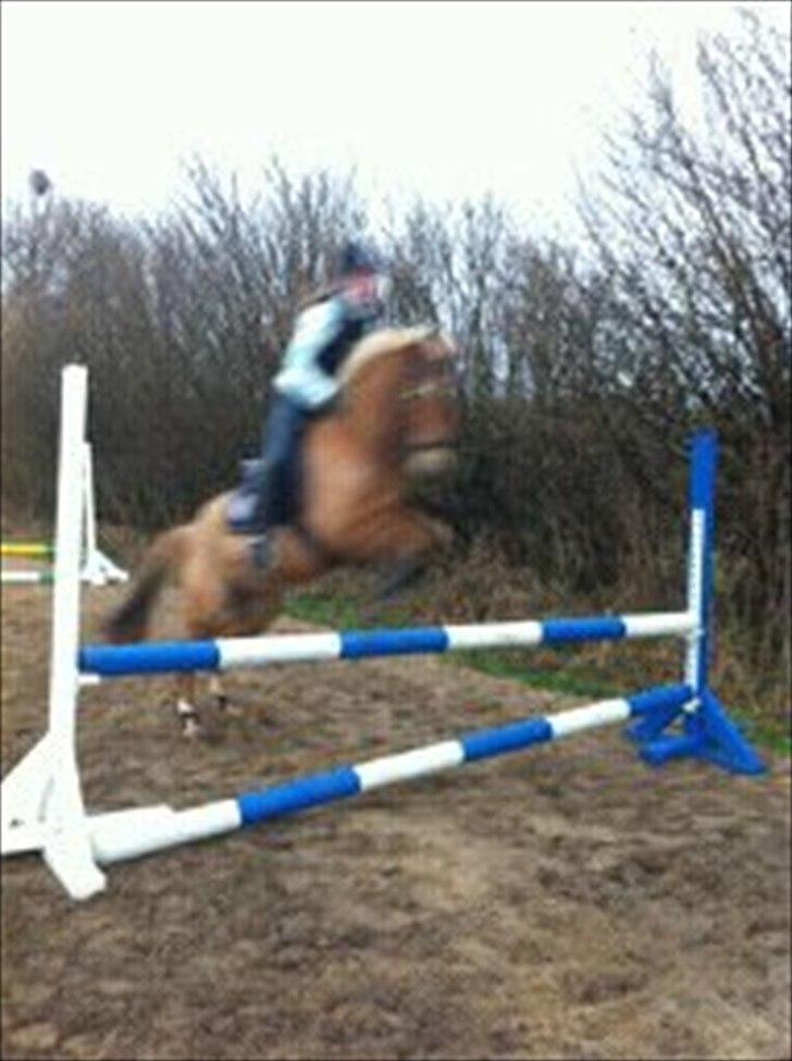 New Forest Kjantes valentijn Isabella <3  billede 16