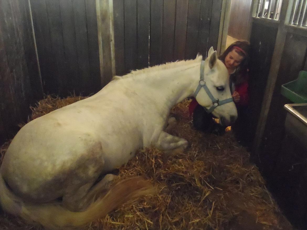 Anden særlig race Cedric Vasseur - I <3 U!<3 billede 18