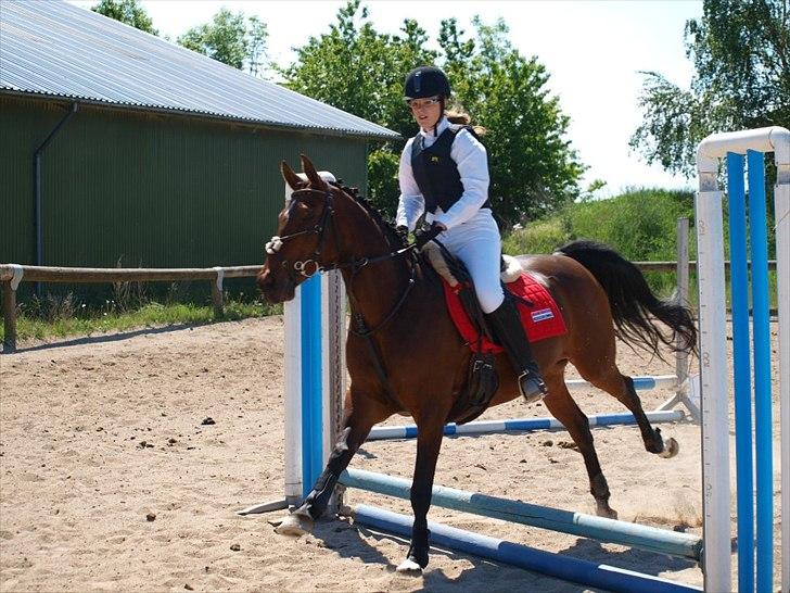 Anden særlig race Liesje - "Friendship is what helps you get through the bad times and enjoy the good times."

Foto af -  Heidi Holst-Jensen billede 20