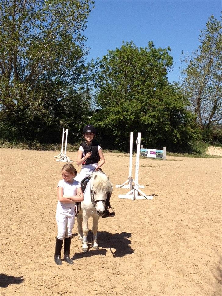 Anden særlig race R.I.P. my soulmate obelix :'( billede 2