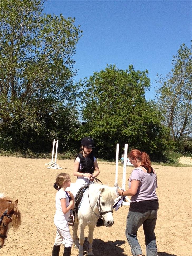 Anden særlig race R.I.P. my soulmate obelix :'( billede 3