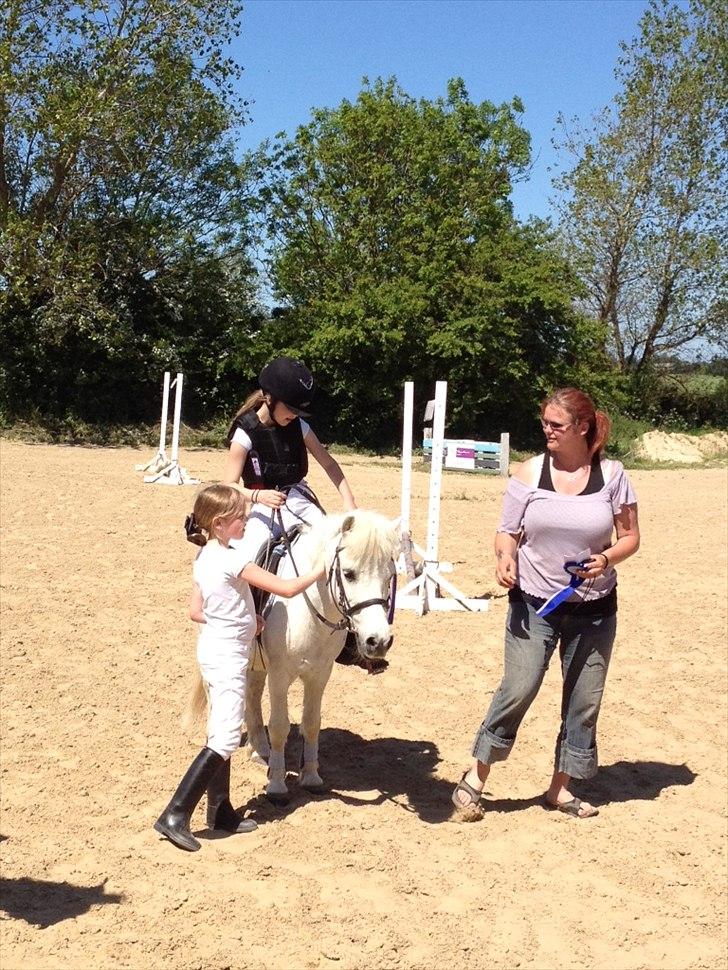 Anden særlig race R.I.P. my soulmate obelix :'( billede 6