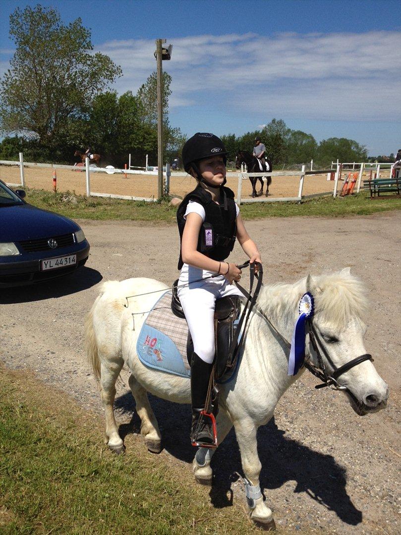 Anden særlig race R.I.P. my soulmate obelix :'( billede 7