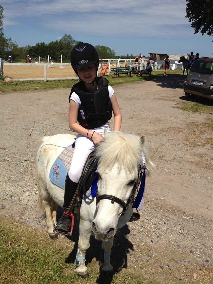 Anden særlig race R.I.P. my soulmate obelix :'( billede 8