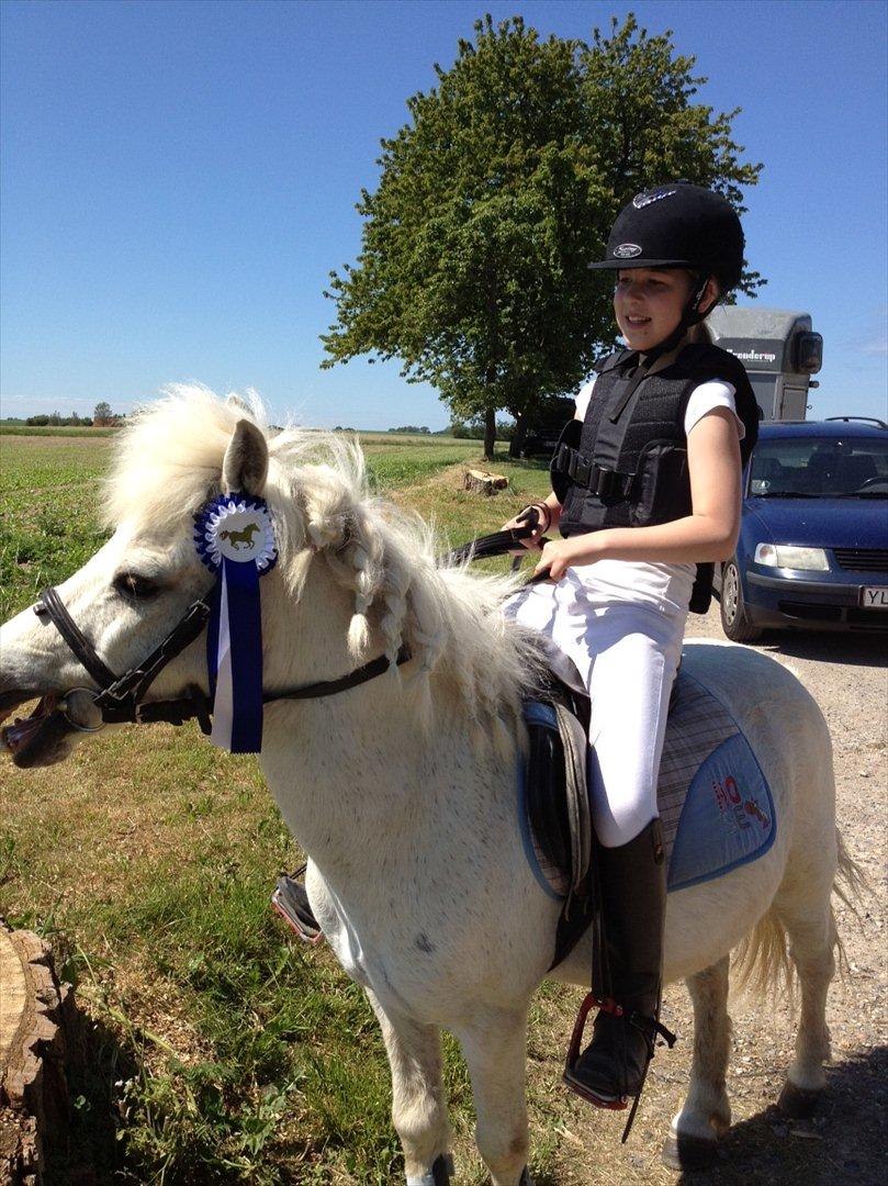 Anden særlig race R.I.P. my soulmate obelix :'( billede 9