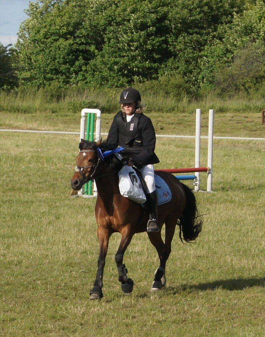 Anden særlig race Stjerne billede 17