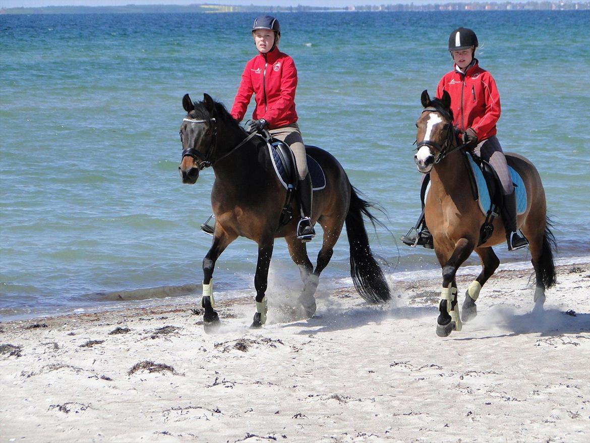 DSP Lille Asserholt Nickelodeon - Nickelodeon og Diba på stranden! billede 2