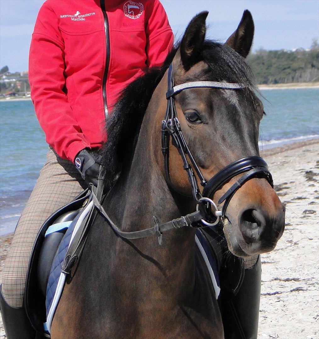 DSP Lille Asserholt Nickelodeon - Smukke, smukke Nicklon! billede 1