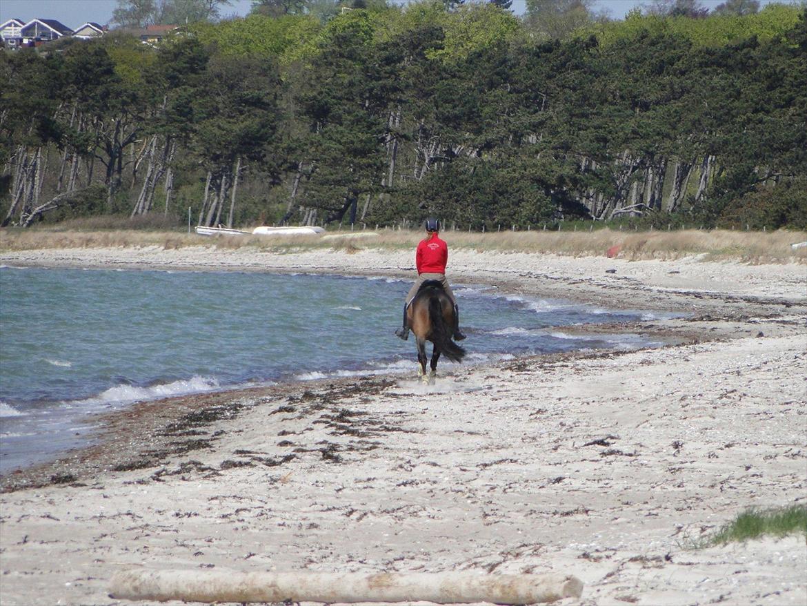 DSP Lille Asserholt Nickelodeon billede 3