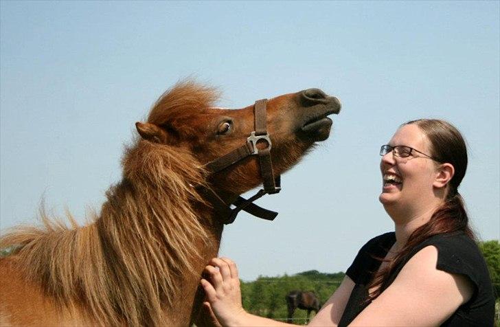 Anden særlig race Putte "delepony" - Marianne og putte billede 17