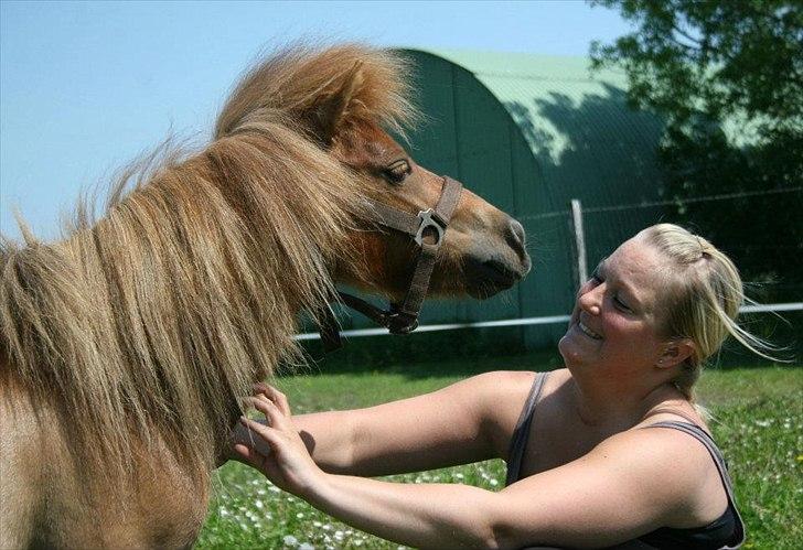 Anden særlig race Putte "delepony" - Dejligt at blive kløet billede 10