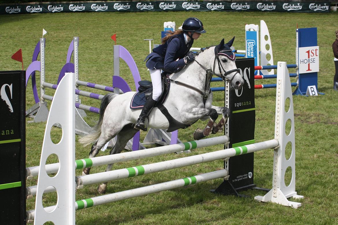 Anden særlig race Mr. Blue Sky ***Gunnar*** billede 5