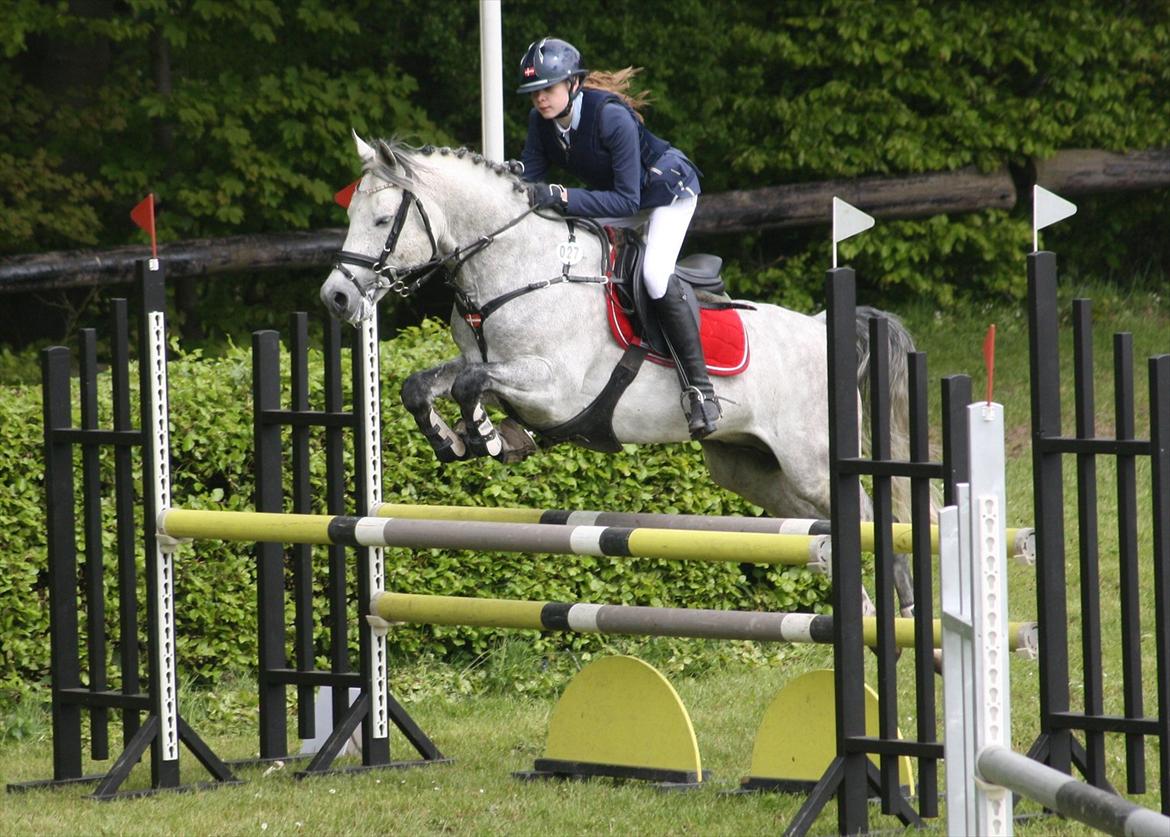 Anden særlig race Avangardas***Tykke*** billede 7