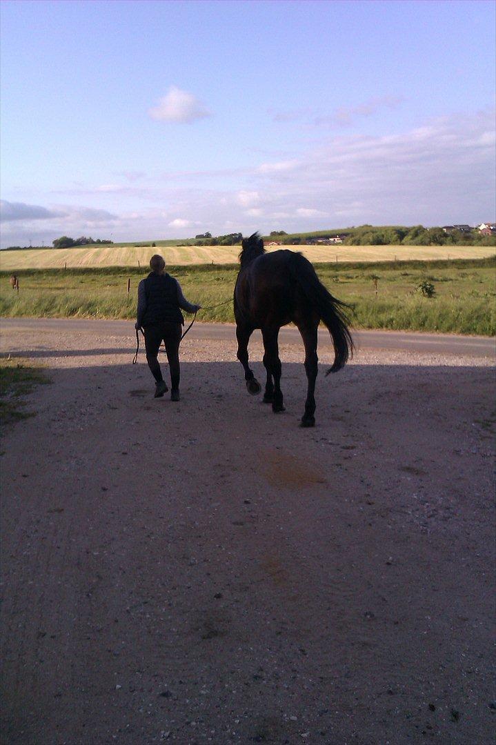 Oldenborg Samer - Så går vi :) billede 5