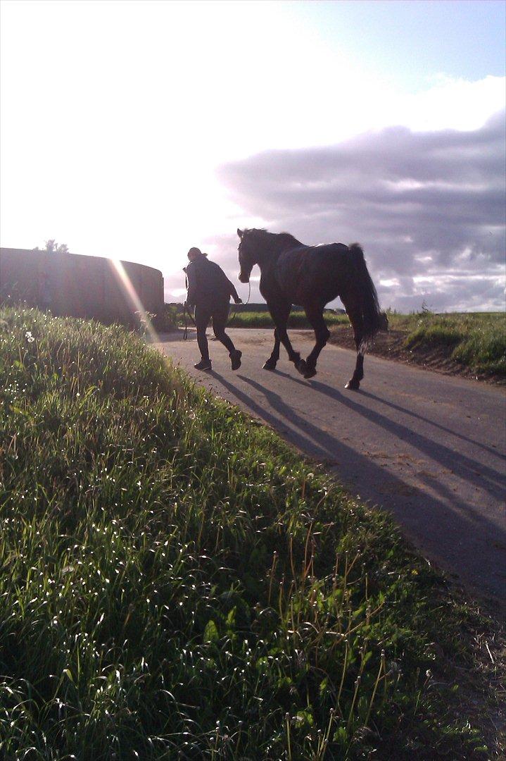Oldenborg Samer - Op til vaske pladsen billede 6