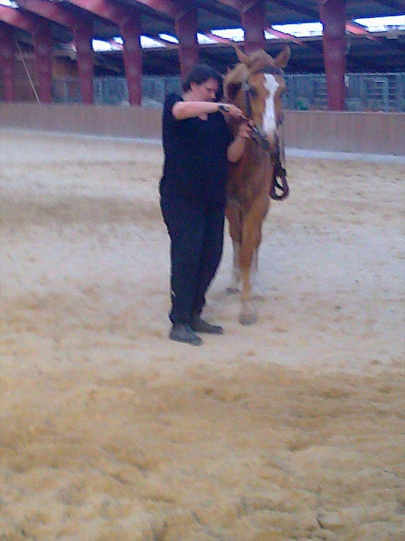 Paint Snowy Scooter Mccue - Min mor syntes jeg har en skrue løs... som om det der skulel hjælpe .. billede 6