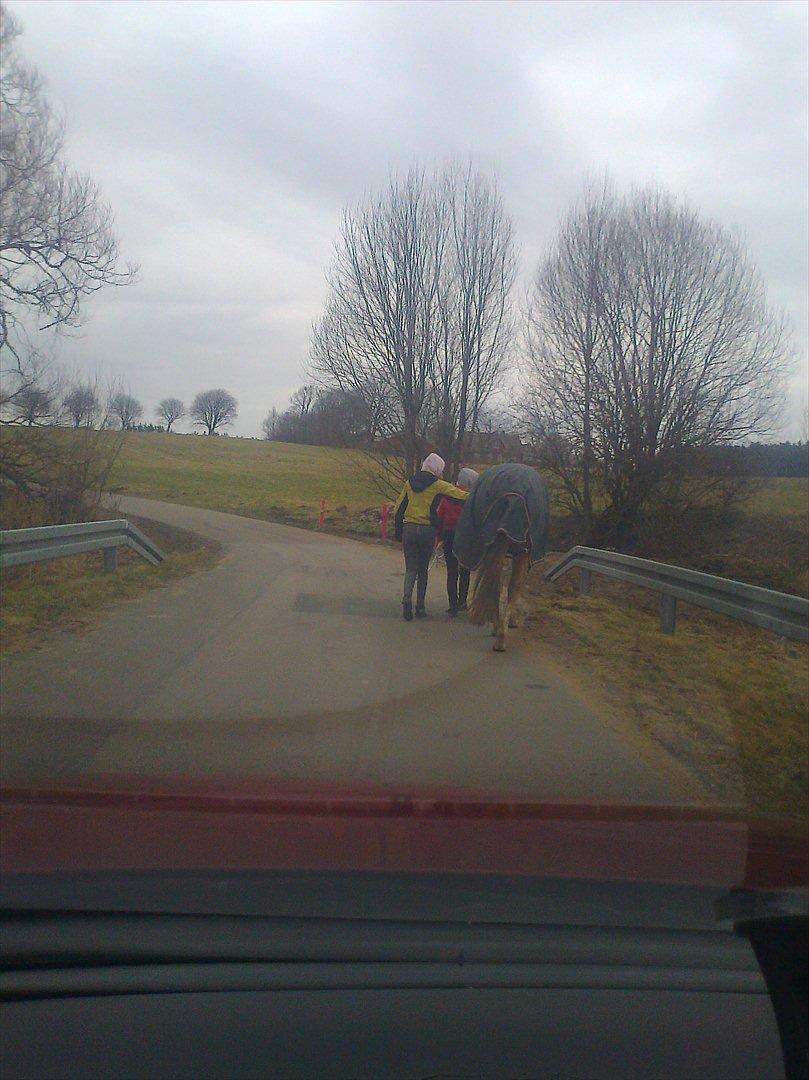 Paint Snowy Scooter Mccue - Rigtige venner holder sammen - og sådan er det billede 14