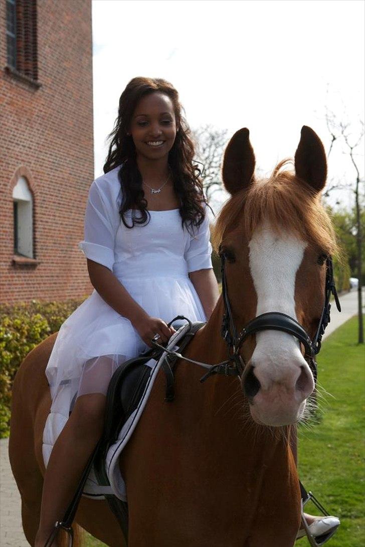 Anglo Araber (AA) Khalit - Khalit og jeg til min konfirmation  billede 3