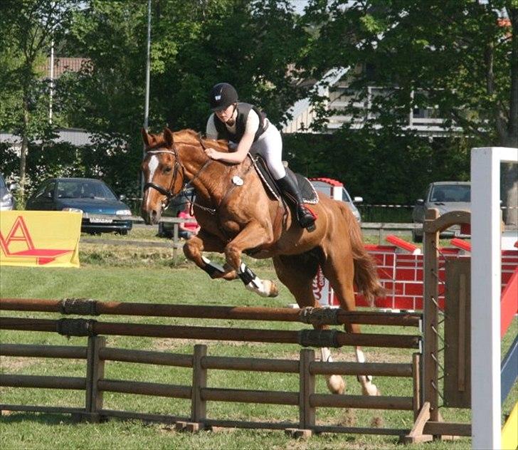 Anden særlig race Mañaña *STJERNE* - Første stævne sammen første klasse! ULC 0 fejl 1 ;) Grenå 2012 STJERNE billede 2