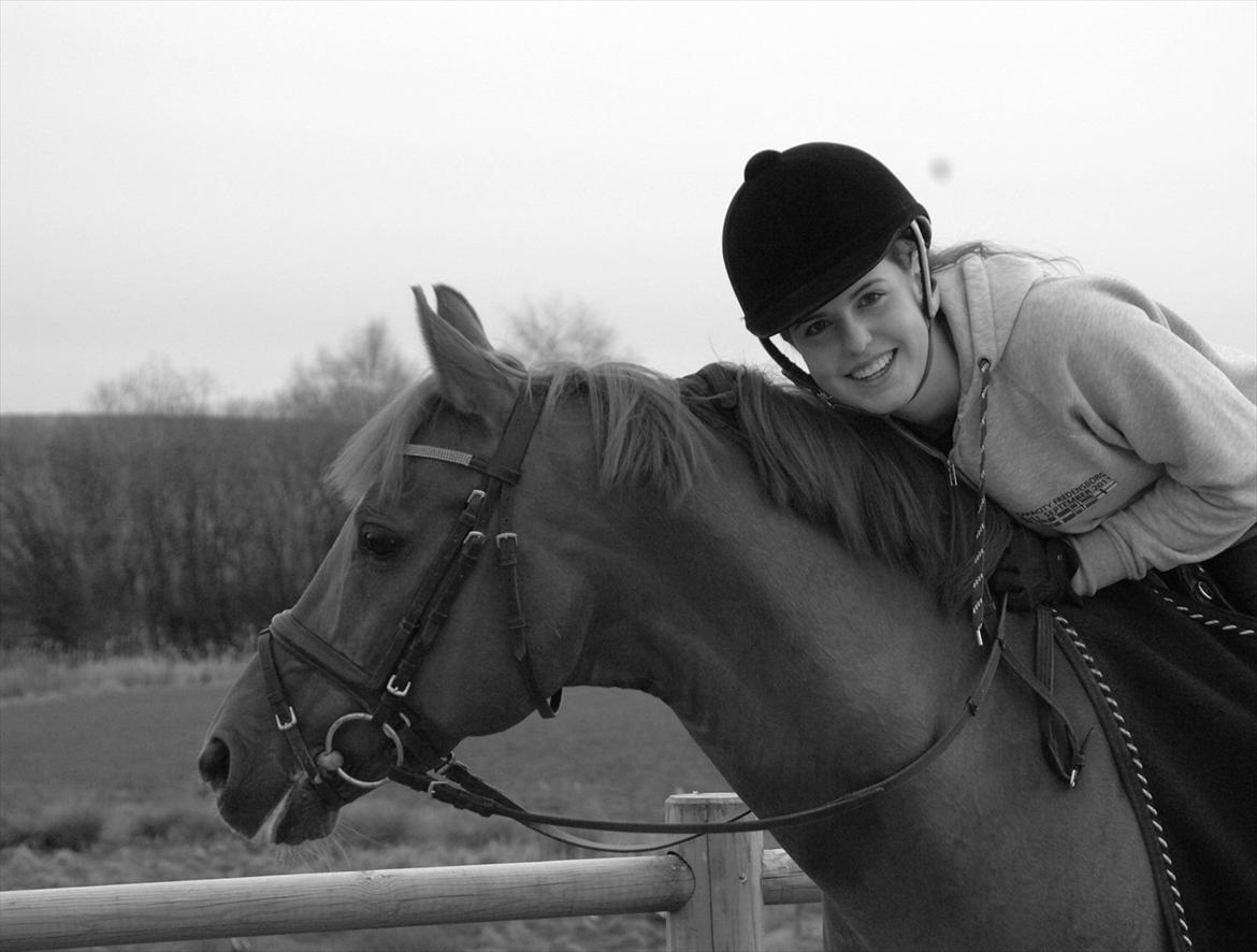 DSP Doran A-pony - Bassen <3 billede 17