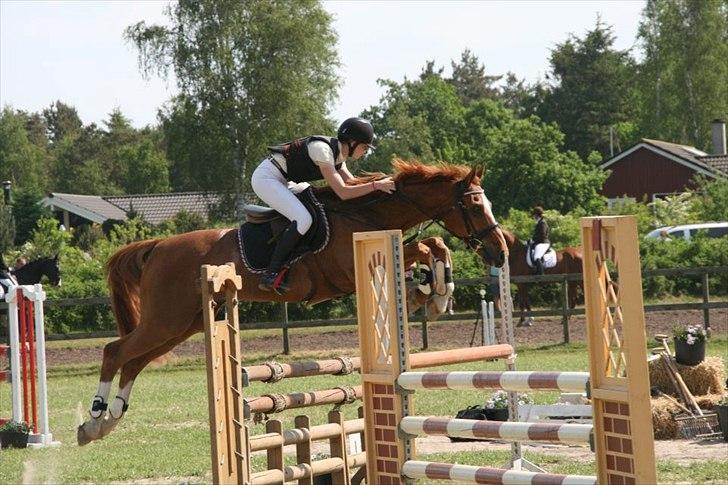 Anden særlig race Mañaña *STJERNE* - Kæmpe fighter LB2** 0 fejl <3 billede 10