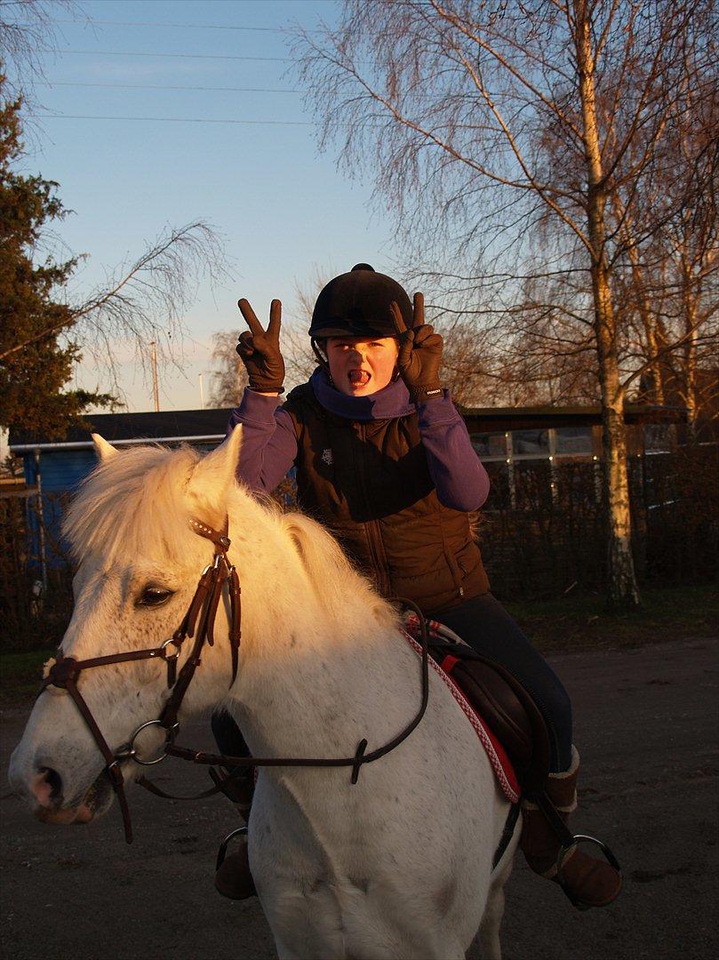 Anden særlig race Snowball - jeg ved godt jeg ser dum ud men kig på snowball <3<3 billede 15