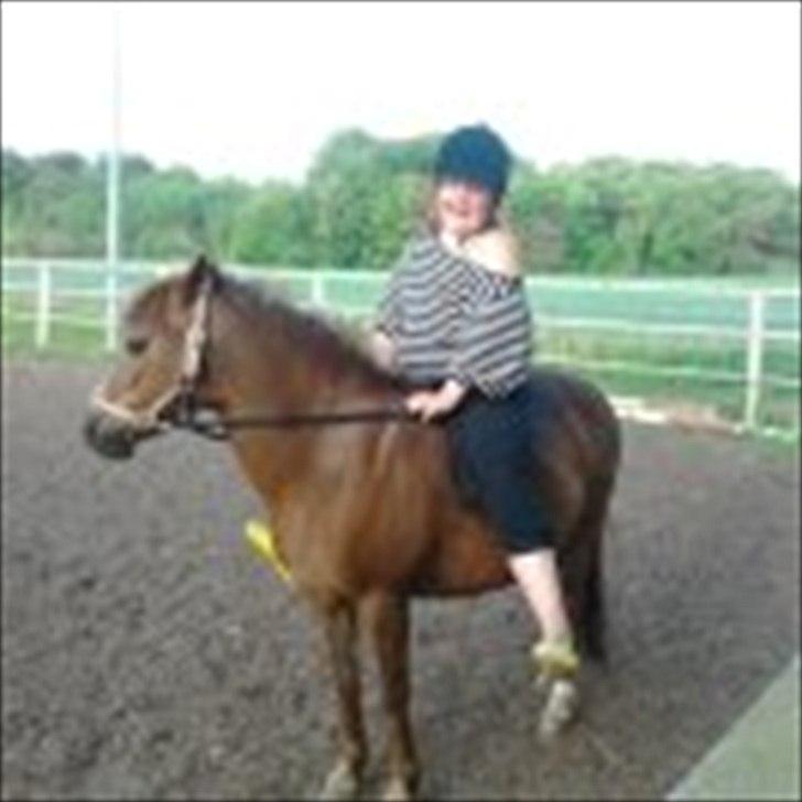 Anden særlig race bella - hyggeridning på banen billede 8