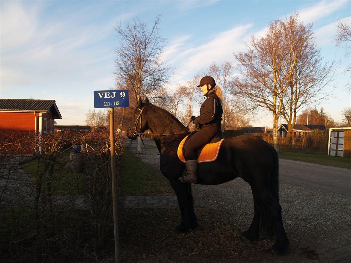 Frieser Femke Neantske billede 18