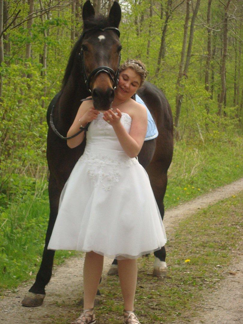 Fuldblod (XX) Smokey  - Mig og smokey, til min konfirmation.  billede 1